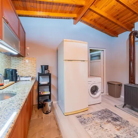 Apartment Spacious Flat In Konyaalti *